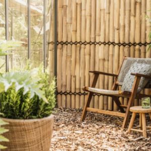 bamboe in de tuin 2