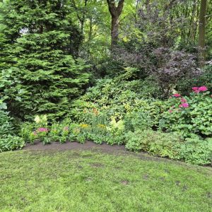 tuin raf 3
