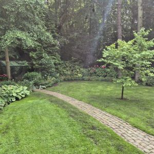 tuin raf 1