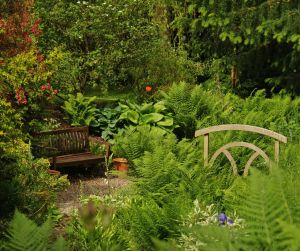 eigen plekje i de tuin