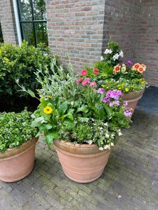 potten met zomergoed