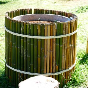 bamboe in de tuin 4