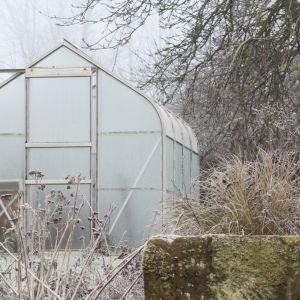 Moestuinieren in de winter: tips en inspiratie 1