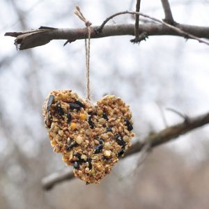 6 Vogeltraktaties om buiten de (kerst)boom mee te versieren 1