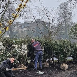 Fit en Vitaal 1