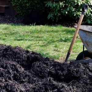 Najaarstuinieren: waarom bemesten in het najaar belangrijk is 1