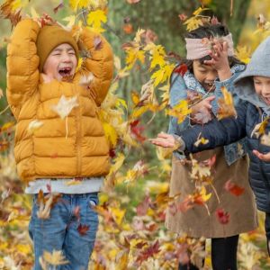 Herfstvakantie in de natuur 1