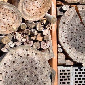 Zo maakt u eenvoudig een insectenhotel 1